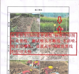 求爱普生L805设普通纸.标准打印图片有黑线
