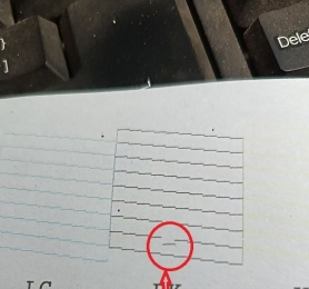 请问爱普生L805黑色有一针挑到下边，是属堵了斜喷还是坏了